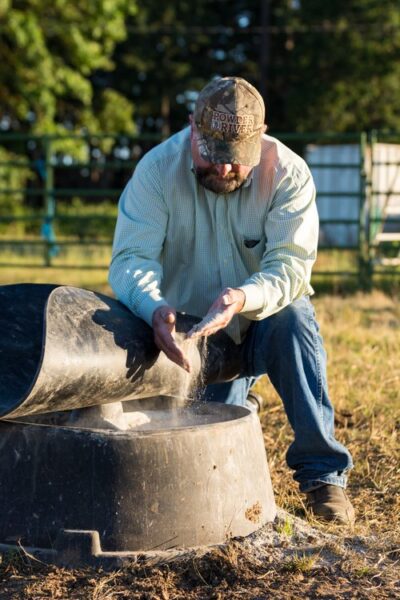 Man in a plaid shirt and cap pouring feed from a black container while kneeling in a grassy field, with a farm fence and trees in the background.